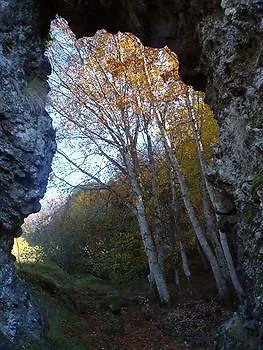 Au Chalet Fleuri 2* Saint-Jacques-des-Blats